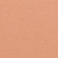 Pastel Pink - RAL 3012