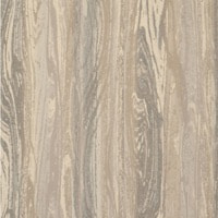 Sunbrella Woodgrain Ash - 723