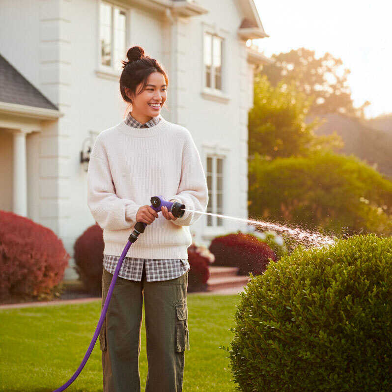 Pumpkins on a typically Yunigo garden