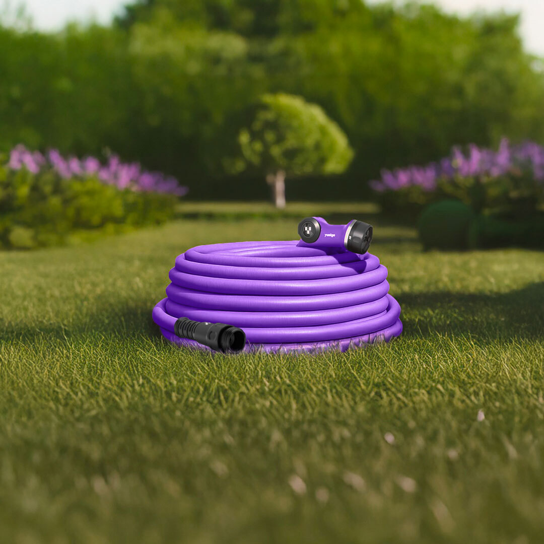Yunigo purple hose on the grass
