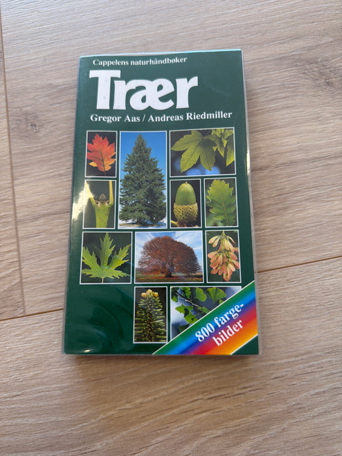 Trær