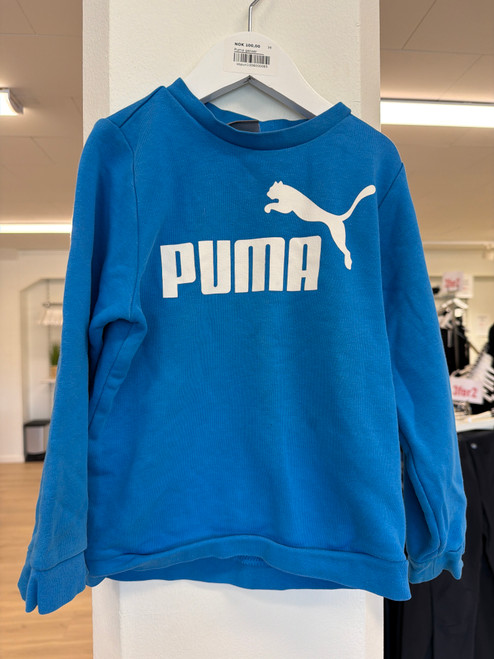 Puma genser, 104