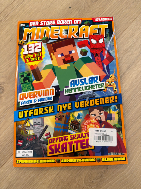 Minecraft book