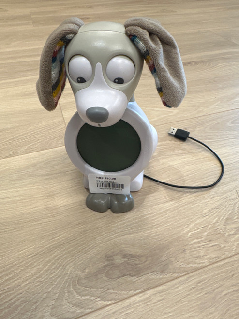 Davy the dog