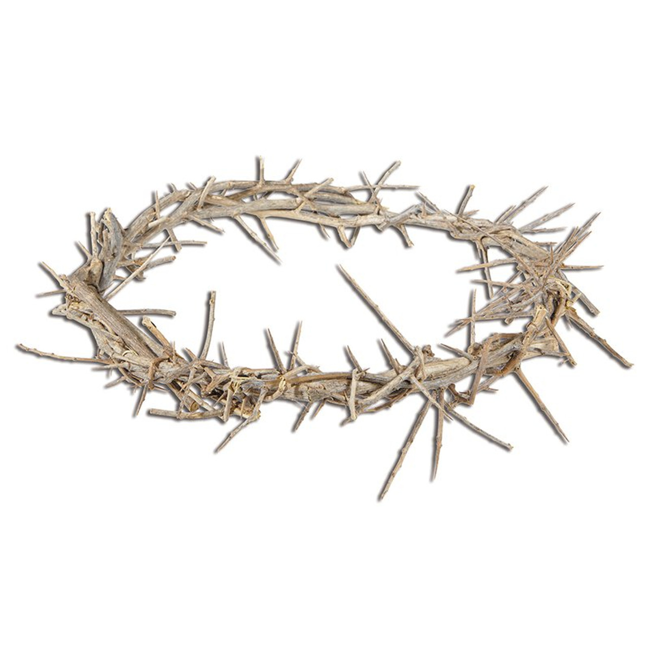 11 Crown of Thorns