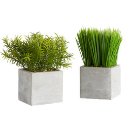 Artificial Plants Set - Square Pot - Grass
