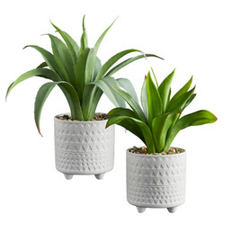 Plant in Pot - Set of 2