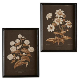 Framed Painting- Flower - Set of 2