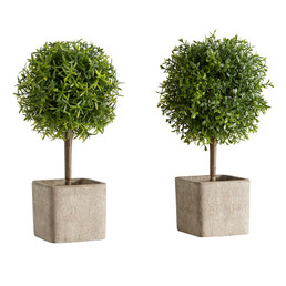 Topiary Ball In Planter Set