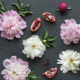 Greeting Card - Encouragement - Peonies & Pomegranates