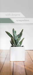 Greeting Card - Sympathy - Succulent