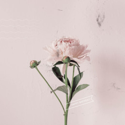 Greeting Card - Birthday - Flower