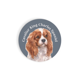 Car Coaster - Cavalier King Charles Spaniel