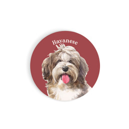 Car Coaster - Havanese