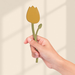 Yellow Tulip