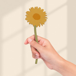 Yellow Daisy