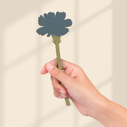 Blue Carnation