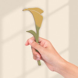 Calla Lily
