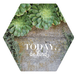 Magnet - Today Be Kind