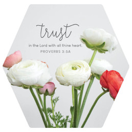 Magnet - Trust In The Lord