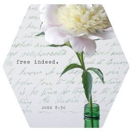 Magnet - Free Indeed