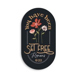 Magnet - You Have Been Set Free