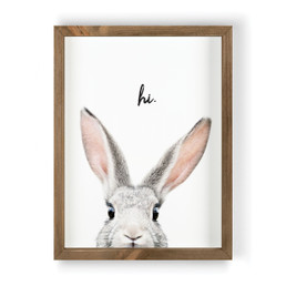 Framed Art - Hi - Rabbit