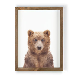 Framed Art - Bear