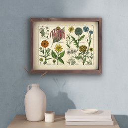Framed Art - Plants
