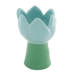 Blue Tulip Accent
