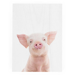 Featured Artist Decorative Block - Piglet