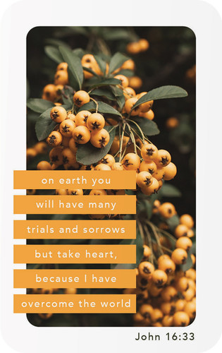 Care Card -  On Earth