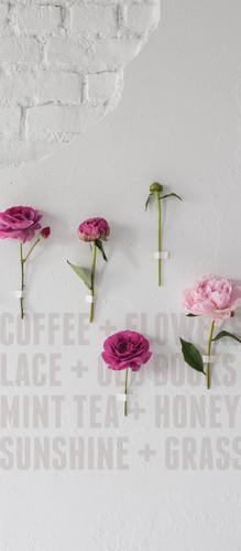 Greeting Card - Birthday - Flower Wall