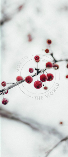 Greeting Card - Christmas - Joy To The World