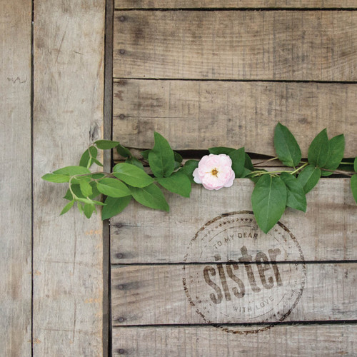 Greeting Card - Birthday - Sister