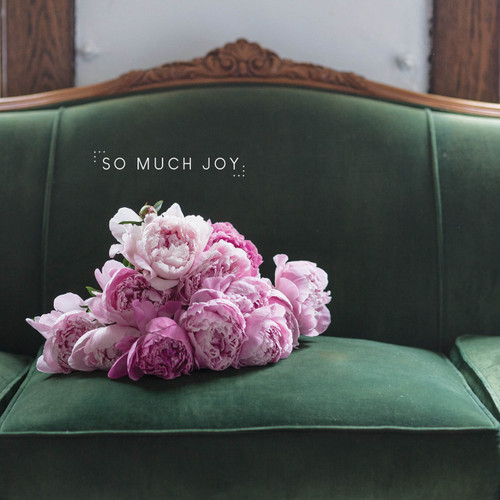 Greeting Card - Wedding - So Much Joy