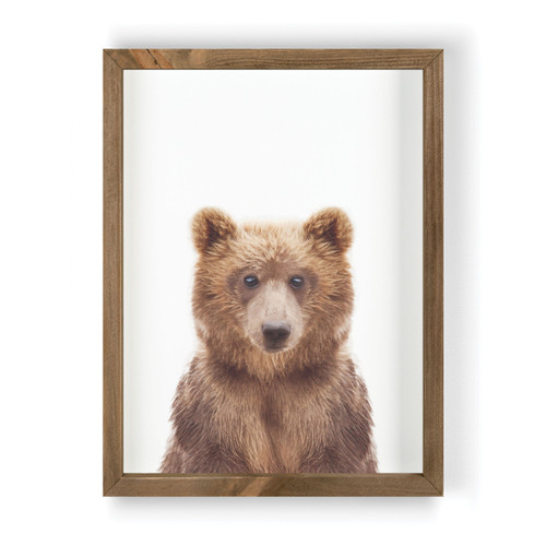 Framed Art - Bear