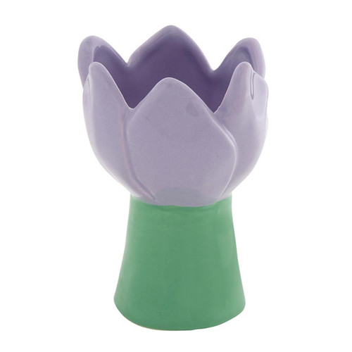 Purple Tulip Accent