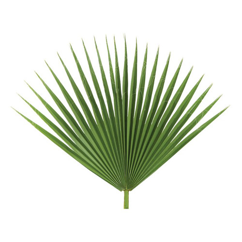 Fan Altar Palms - 4/Bag