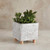 Square Wood Leg Pot