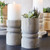 Large Succulent Pillar - Grey Paulownia Wood