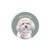 Ceramic Car Coaster - Bichon Frise