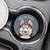 Ceramic Car Coaster - Siberian Husky