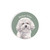 Car Coaster - Bichon