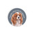 Car Coaster - Cavalier King Charles Spaniel