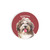 Car Coaster - Havanese