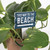 Plant Stake - This Way To The Beach
