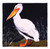 Pelican Napkin - Set of 4