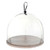 Wood Board with Glass Cloche