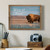 Framed Art - Wild At Heart